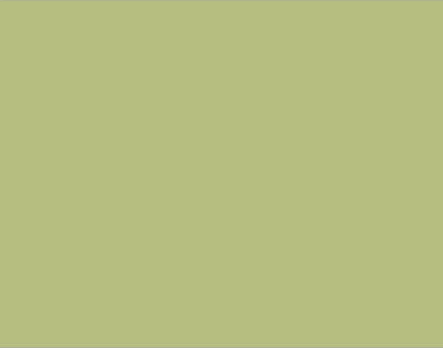 Drawing Pencil Renkli Çizim Kalemi 4125 Pale Cedar