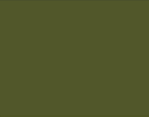 Drawing Pencil Renkli Çizim Kalemi 5160 Olive Earth
