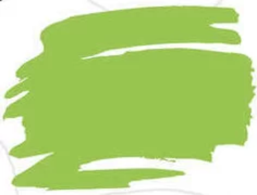 Kurecolor Fine & Brush for Manga Çizim Kalemi 504 Light Green