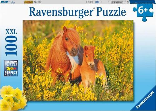 100 Parça Puzzle Taylar 132836