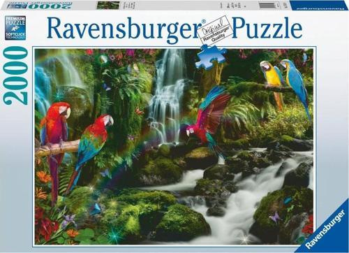 2000 Parça Puzzle Renkli Papağanlar 171118