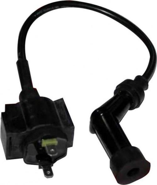 Ateşleme Bobini Regal Raptor 250