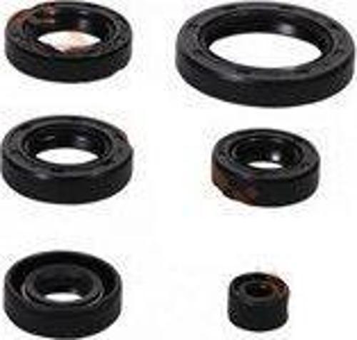 Manyeto Keçesi Bajaj Dıscover 150