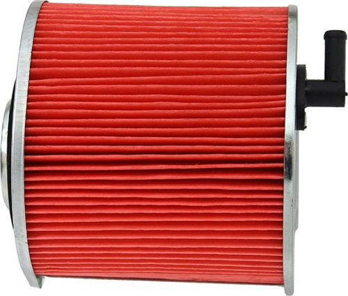 250Mct Regal Raptor Hava Filtre Elemanı