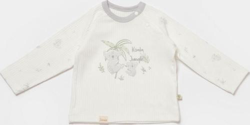 Koala Jungle Sweat 57890