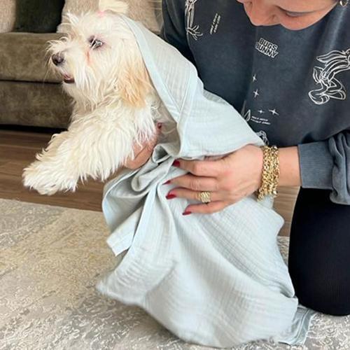Kedi Ve Köpek Evcil Hayvan Kurulama Havlusu