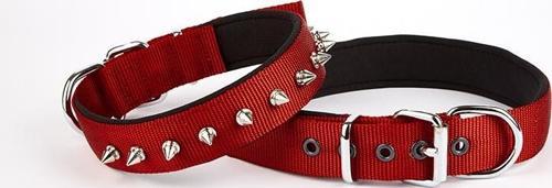 Çivi Desenli Köpek Tasması 2,5*60 cm Kırmızı