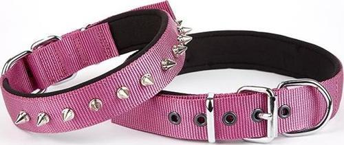 Çivi Desenli Köpek Tasması 2,5*60 cm Mor