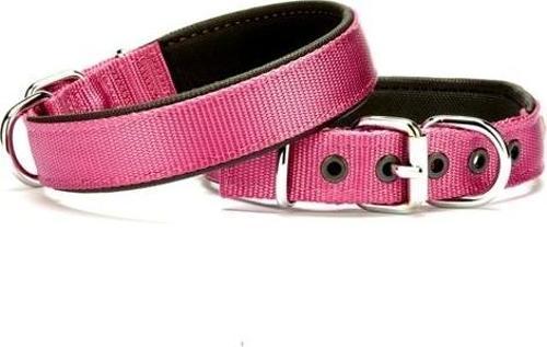 Softlu Dokuma Köpek Tasması 2,5 cm x 50 cm Mor