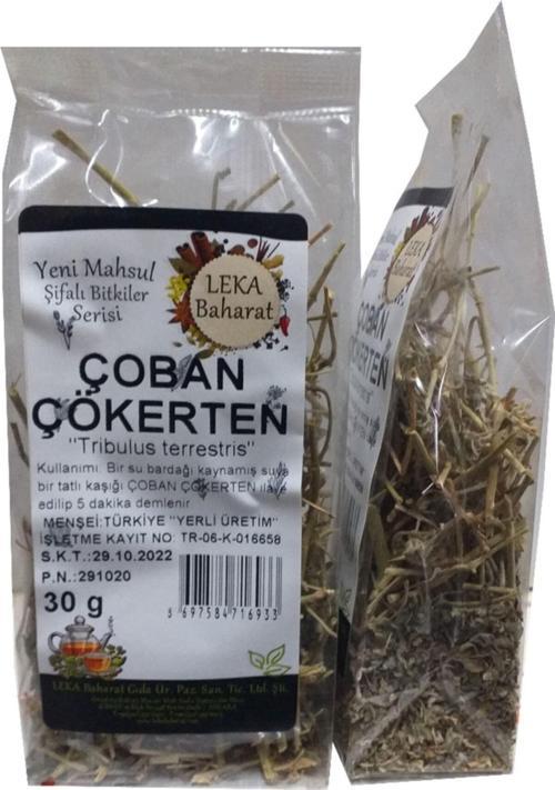 Çoban Çökerten 30 G