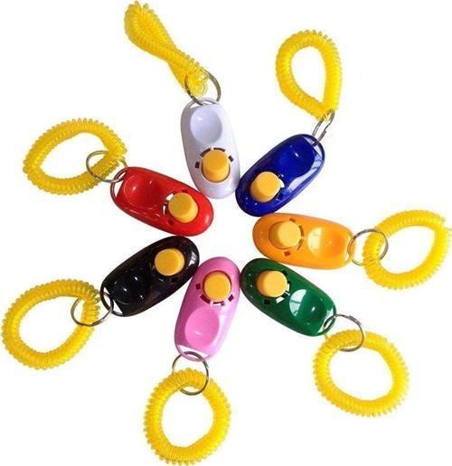 Renkli Köpek Eğitimi Clicker