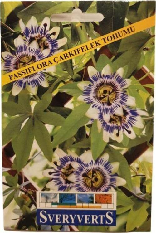 Passiflora Çarkıfelek Tohumu