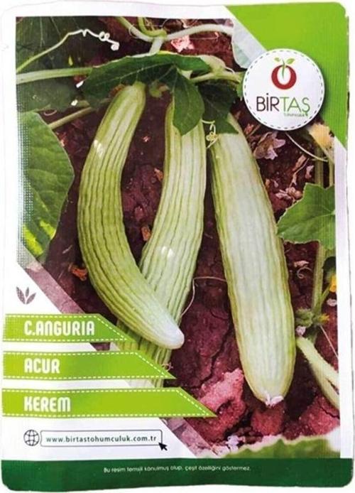Birtaş Acur Tohumu