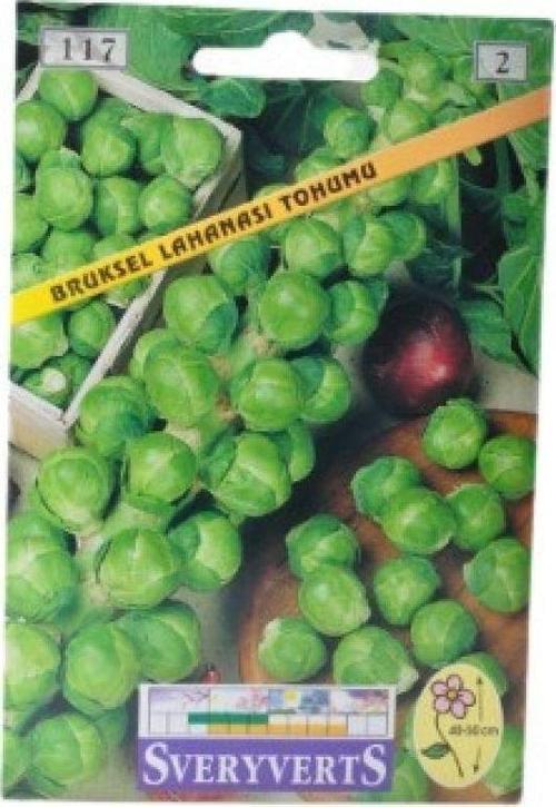 Brüksel Lahanası Tohumu