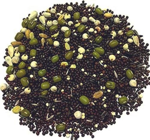 Çimlendirme tohumu 1 kg