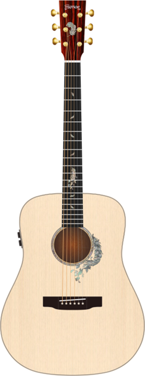 150D  Akustik Gitar