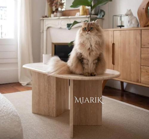 Miarik Design & Dekorasyon Mermer V Ayak Orta Sehpa Prl