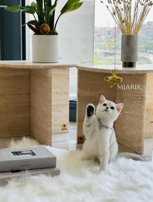 Miarik Design & Dekorasyon Traverten Truck Mermer Yan Sehpa , Masa , Orta Sehpa , Zigon