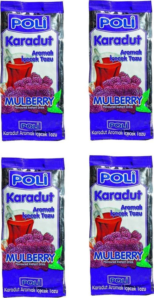 Toz İçecek Karadut 300 Gr X 4 Adet