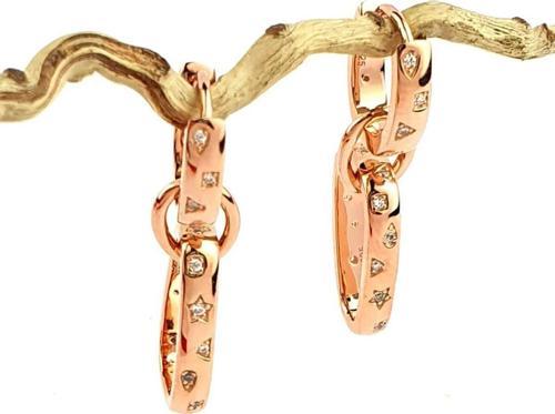 Zirkon Taş Detaylı 925ayar Gümüş Rose Halka Küpe