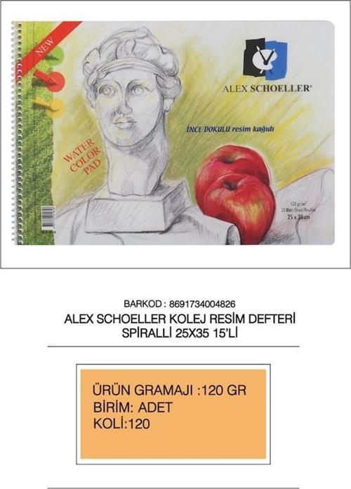 ALEX RESİM DEFTERİ 120GR 25x35 SPİRALLİ 15 YP 120.25 - (12 Adet)