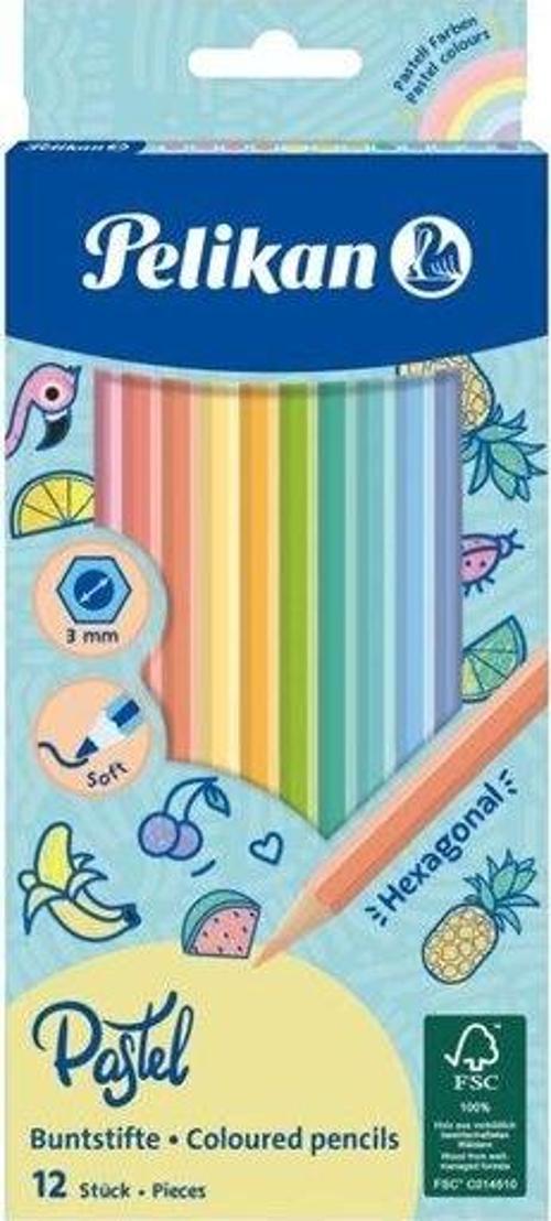 Kuru Boya Kalemi Pastel Renkler 12 li Kutu