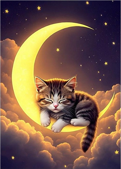 Ay Ve Uyuyan Kedi Hediyelik Ahşap Tablo