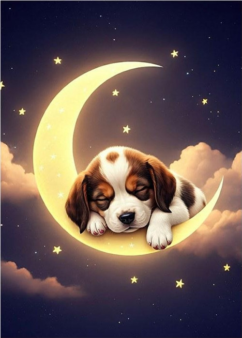 Ay Ve Uyuyan Köpek Dekoratif Mdf Tablo