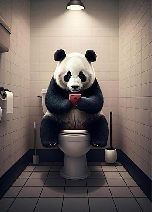 Tuvalette Panda Dekoratif Mdf Tablo