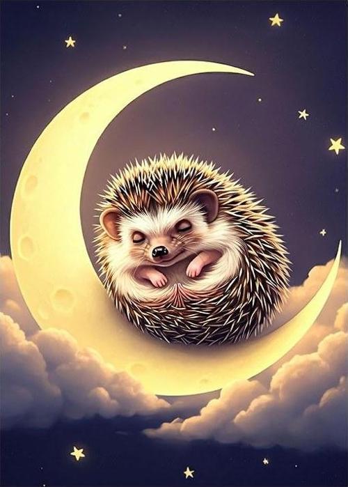 Ay Işığında Kirpi Desenli Mdf Tablo