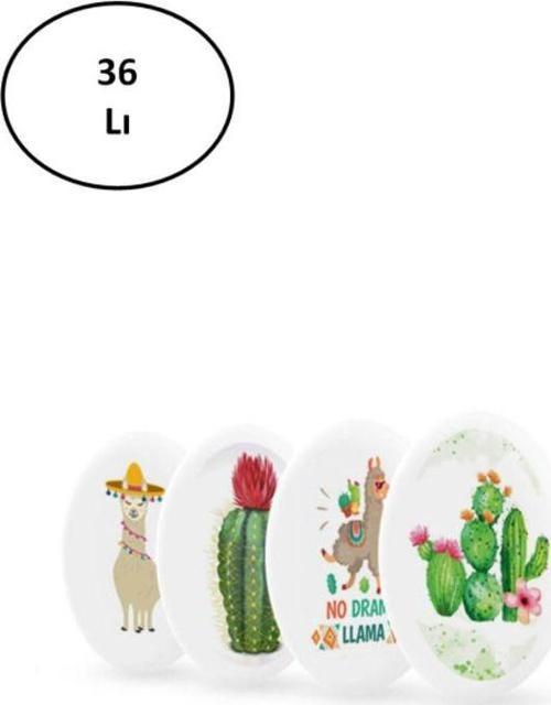Silka Silgi Lama-Cactus Serisi Sg.22 36'Lı