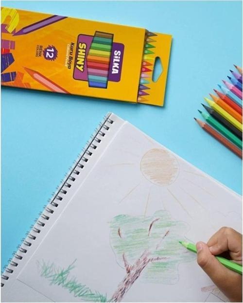 Silka Kuru Boya Shıny Tam Boy 12 Li