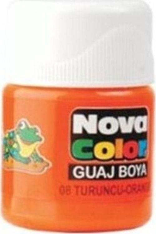 Guaj Boya Turuncu Şişe Nc-110 12'Li