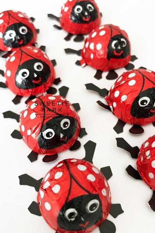 Ladybird Lady Bird 10 Adet Ladybug Kırmızı Uğur Böceği Elvan Hediye Pinyata Bayram Çikolata