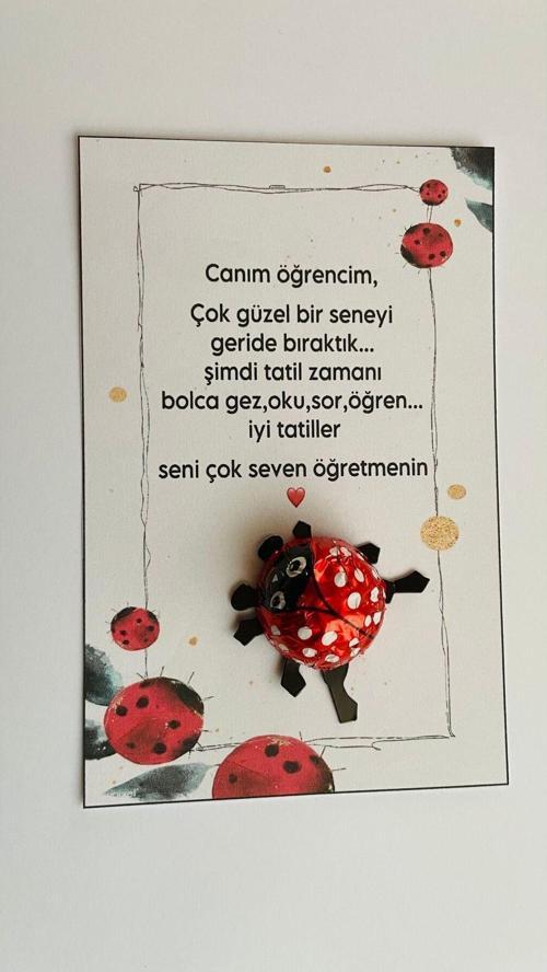 Örümcek Çikolatalı Özel Okul Tatil Çocuk Hediye Çikolata 50 Adet