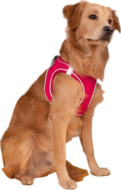 Mıta Air Mesh Göğüs Tasması Neon Pembe