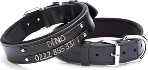 Yumuşak Dokulu Çift Isimlikli Köpek Boyun Tasması Siyah 4X52-60 Cm