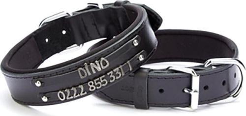 Yumuşak Dokulu Çift Isimlikli Köpek Boyun Tasması Siyah Sbt-3515 L