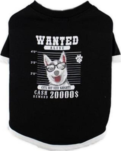 Wanted Siyah Köpek T-Shirt M