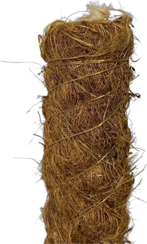 Yosun Bitki Destek Çubuğu (150 cm)