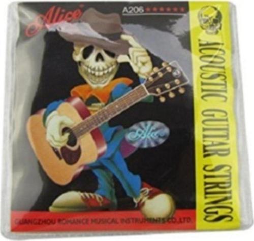 Akustik Gitar Tel Seti