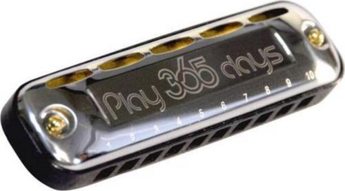 P365 Days Metal 10 Delik Profesyonel Mızıka Özel Kutulu