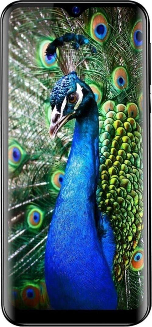 P13 Blue 2021 32GB