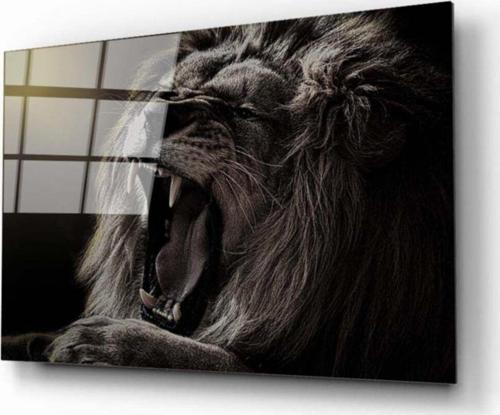 Aslan 11 Cam Tablo