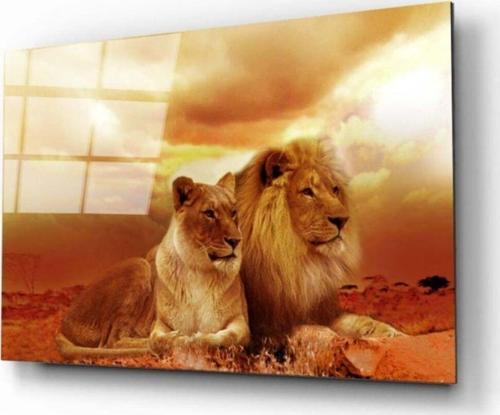 Aslan 4 Cam Tablo