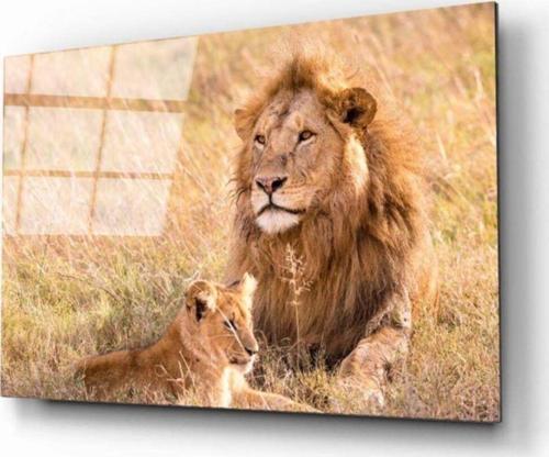 Aslan 7 Cam Tablo