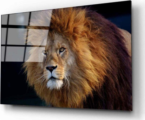 Aslan 8 Cam Tablo