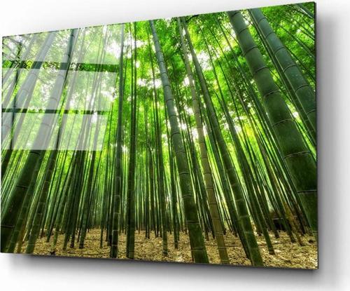 Bambu Ağaçları Cam Tablo