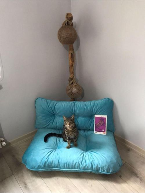 Yeni Koleksiyon Petek Önü Palet Yer Minderi Turkuvaz