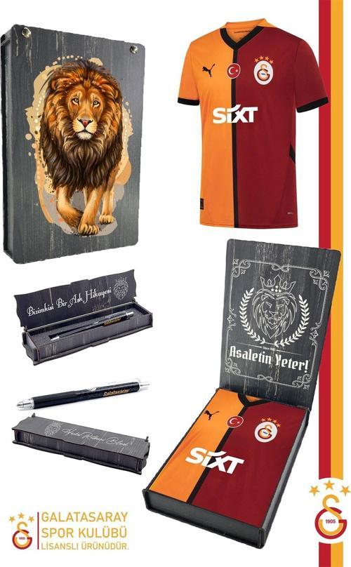 Orijinal Lisanslı 24/25 Parçalı Forma Premium Uçlu Kalem Set Aslan Baskılı Ahşap Kutulu